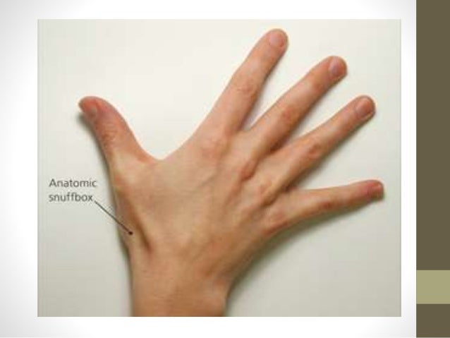 pain from thumb to wrist Denise milani sexy pictures